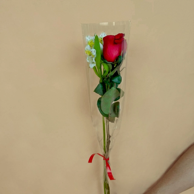 Rosa Invididual con Follaje