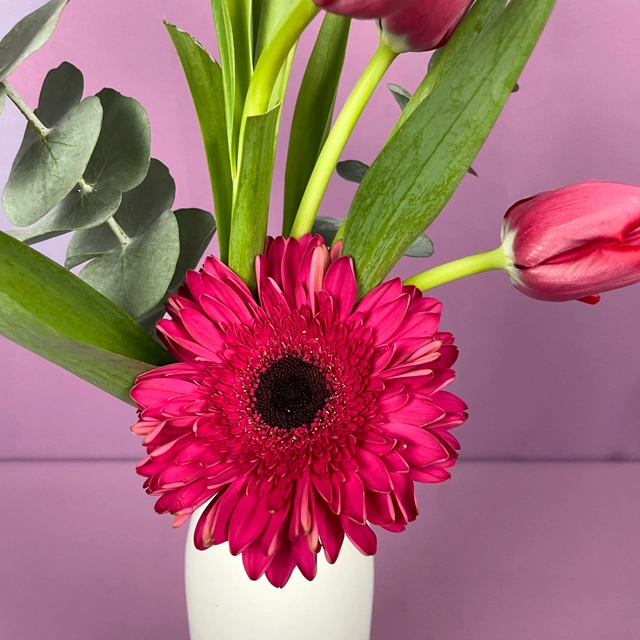 Jarrón Armonia con 4 Tulipanes y Gerbera