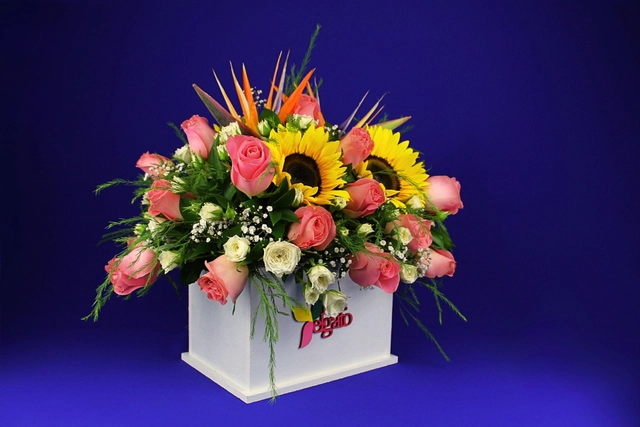 Caja con Girasol y Aves de Paraíso