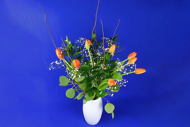 10 Tulipanes en Jarrón con baby y dólar híbrido.