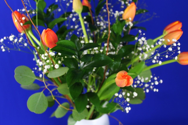 10 Tulipanes en Jarrón con baby y dólar híbrido.