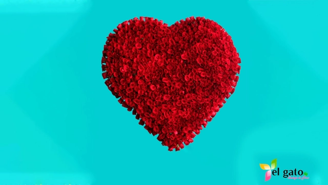 Corazón Gigante de 700 Rosas Rojas