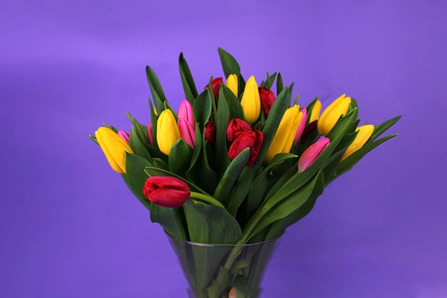 30 Tulipanes Combinados en Jarrón