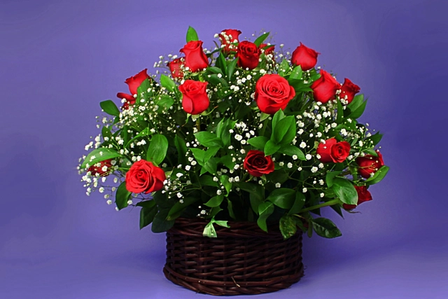 Canasta 24 Rosas, Ruscus y Gypsophilia
