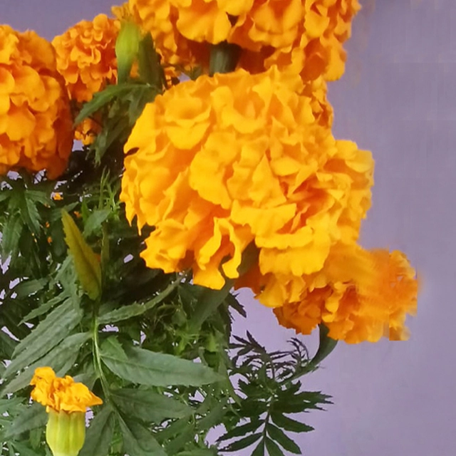 MACETA DE CERÁMICA CON FLOR DE CEMPASUCHIL