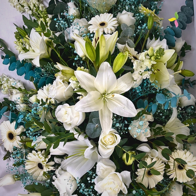 CUBRECAJAS ESPERANZA