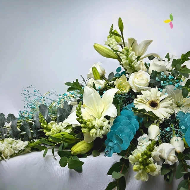 CUBRECAJAS ESPERANZA