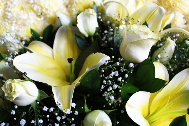 Corona Fúnebre Pureza