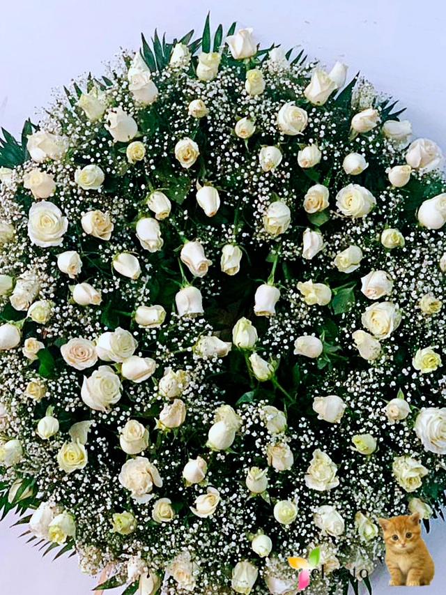 Corona Fúnebre 125 Rosas