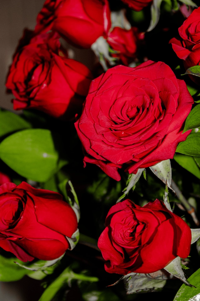 Jarrón con 50 Rosas Rojas