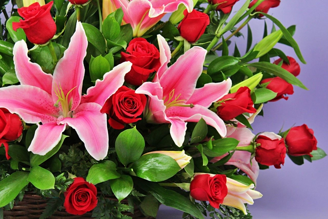 Canasta con 36 Rosas Rojas y Stargazer