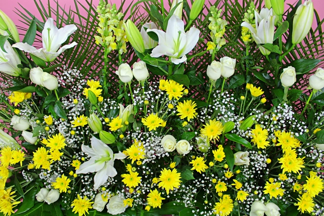 Jardinera con Margarita