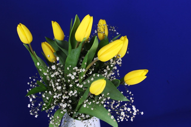 Jarrón Cerámico con 10 Tulipanes y Gypsophilia