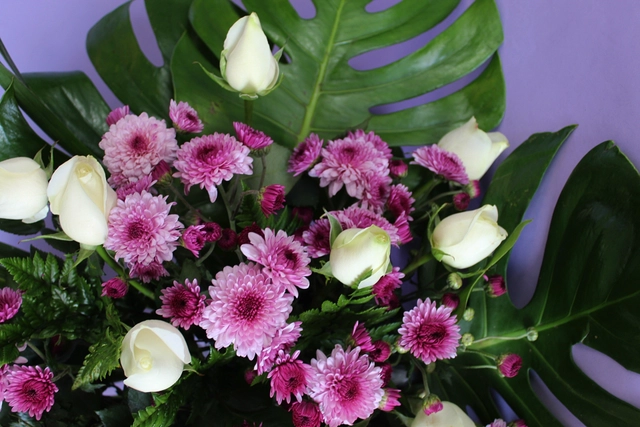 Lateral con Moreliana