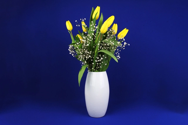 Jarrón Cerámico con 10 Tulipanes y Gypsophilia