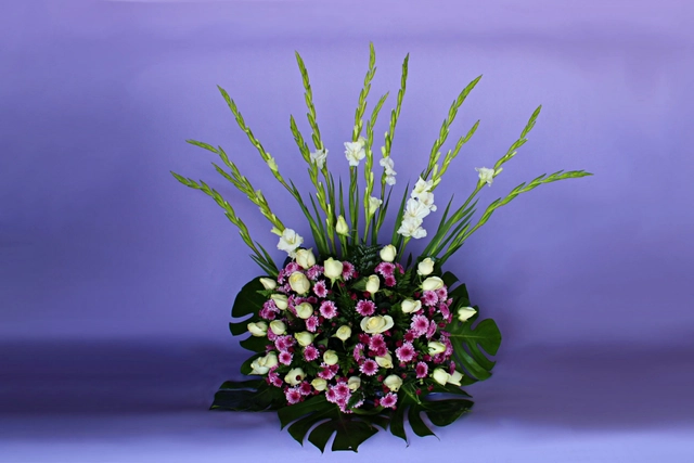 Lateral con Moreliana